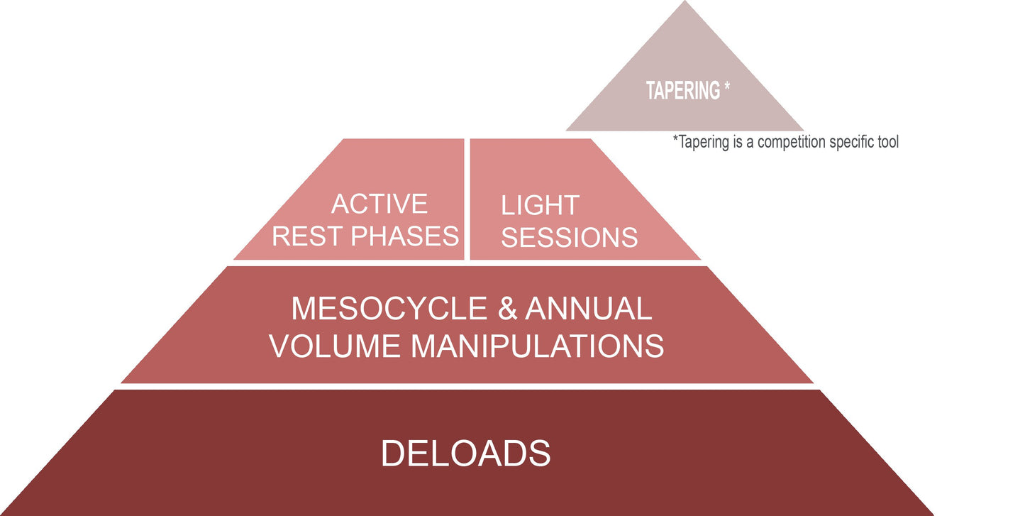 Recovering From Training eBook