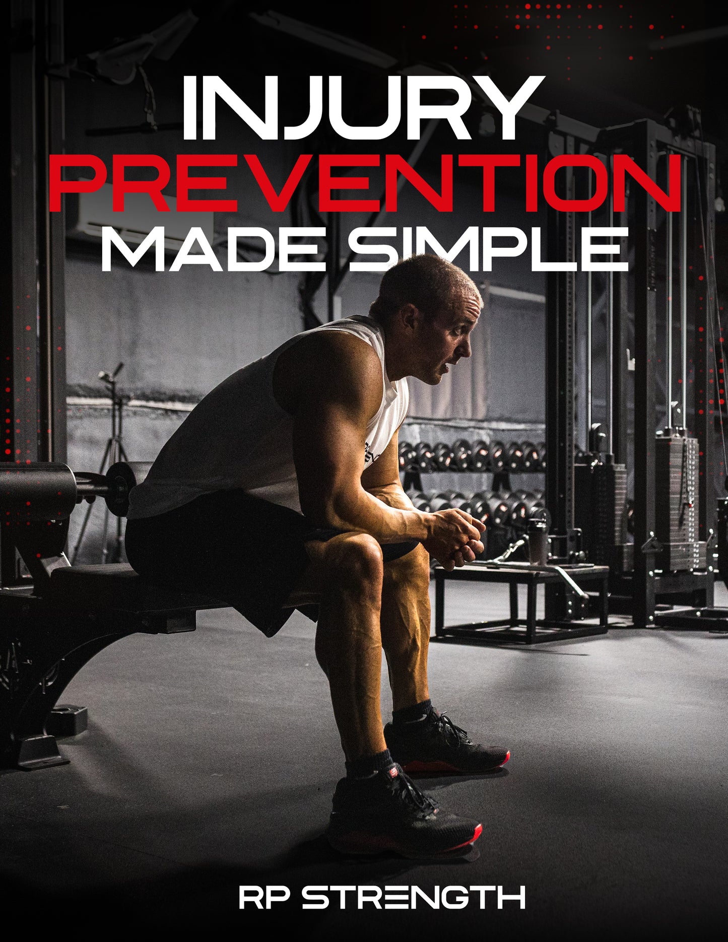 Ultimate Beginner Bundle