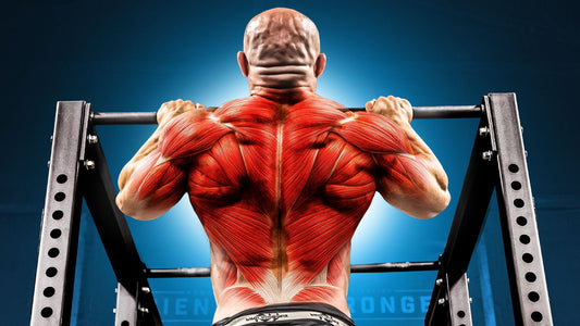 Every Type of Pull Up For Muscle Growth