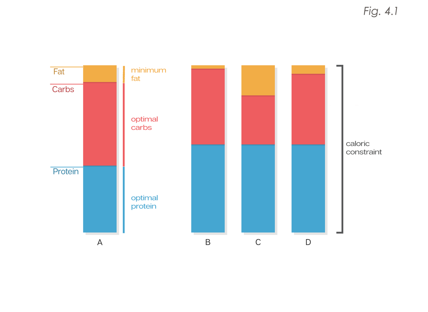 The Renaissance Diet 2.0 eBook