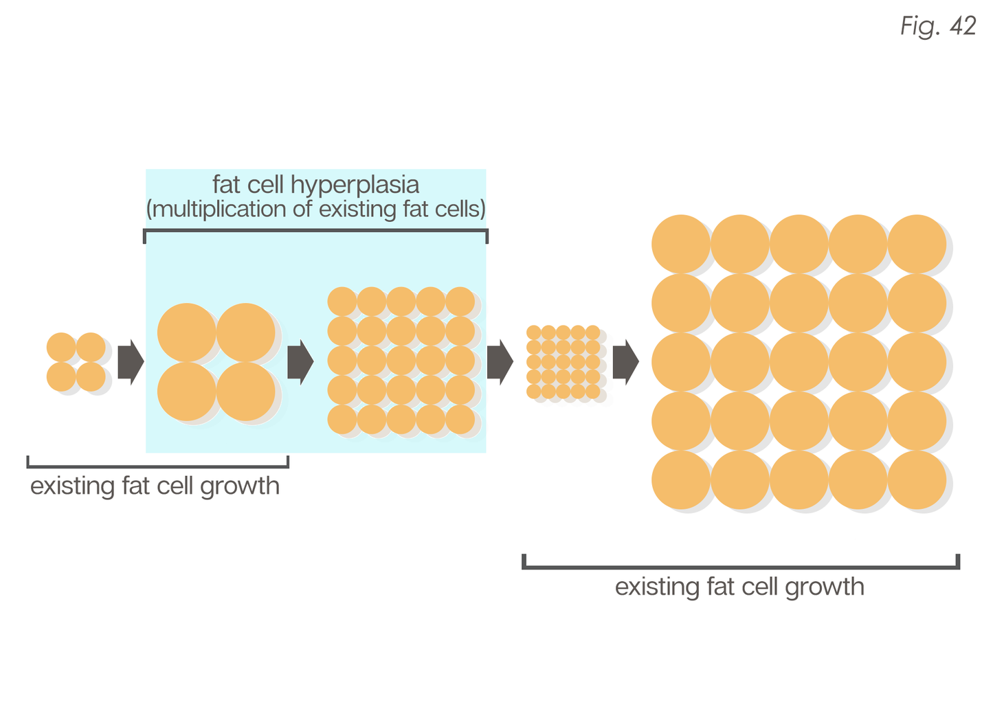The Renaissance Diet 2.0 eBook