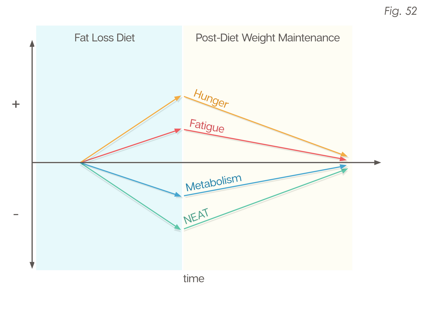 The Renaissance Diet 2.0 eBook
